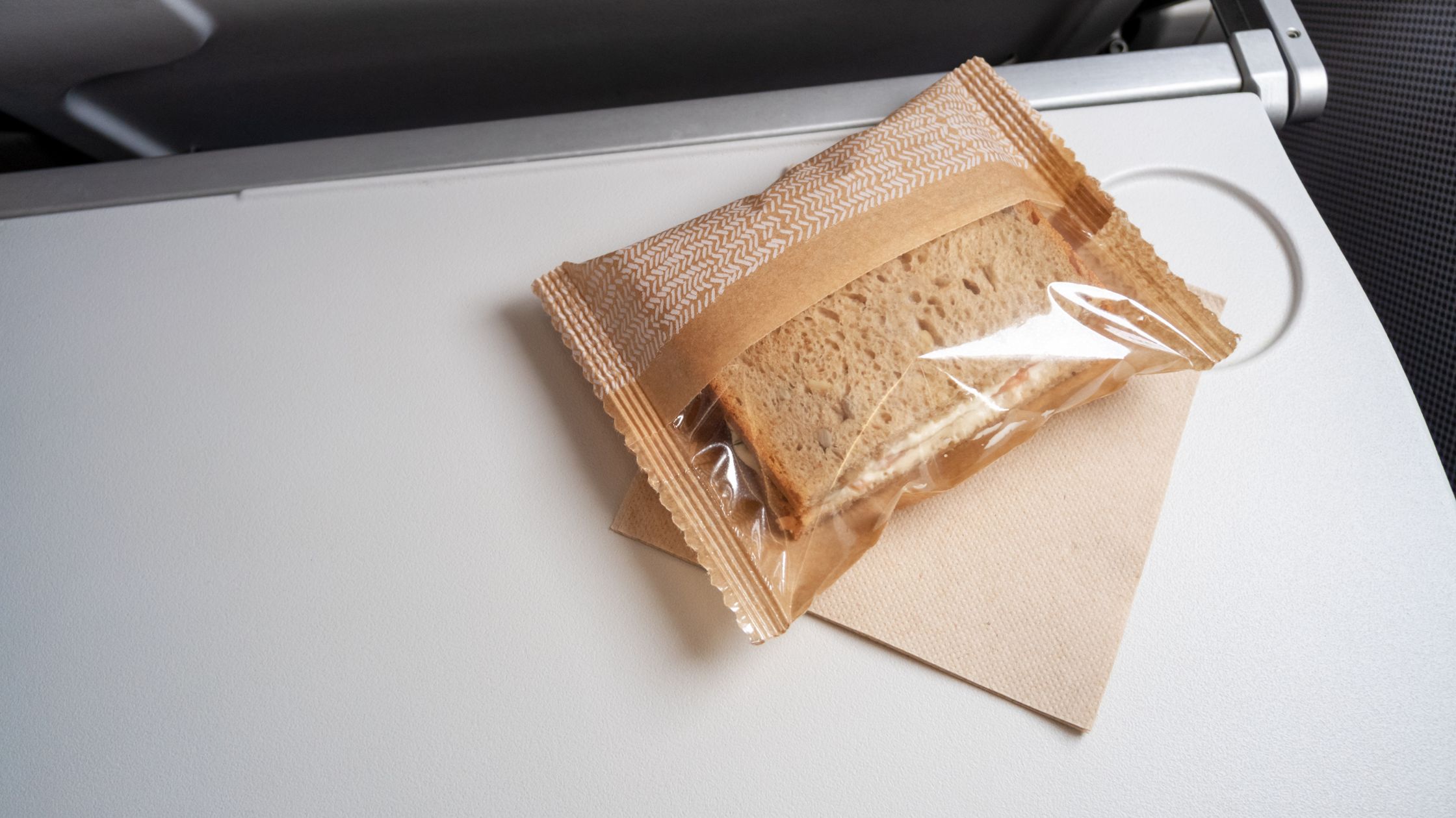 taking snacks with you in flight from USA to India